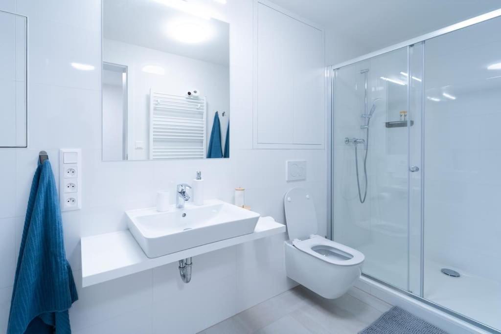City Park Apartment - Брно Экстерьер фото